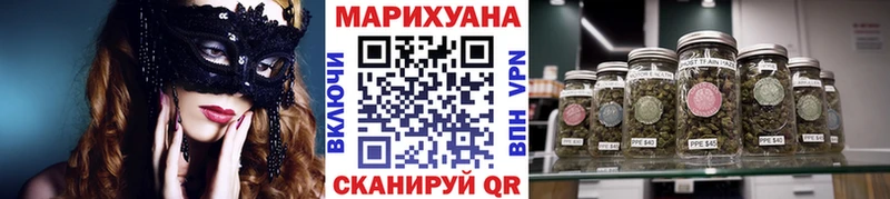 Марихуана сатива  Костерёво 